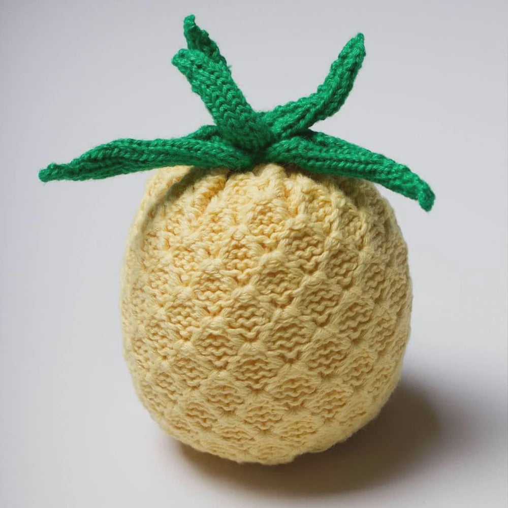 Organic Pineapple Rattle